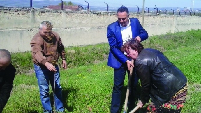 Засадихме 35 дръвчета